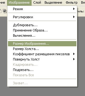 http://dikarka.ru/lesson_photoshop/image/01_08.jpg