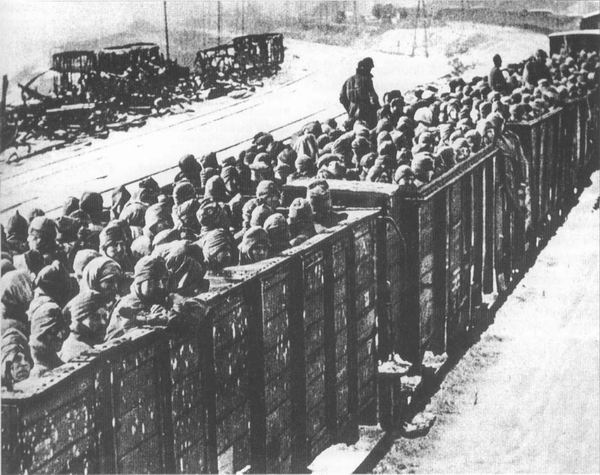 Поезд с советскими военнопленными, октябрь 1941 г.