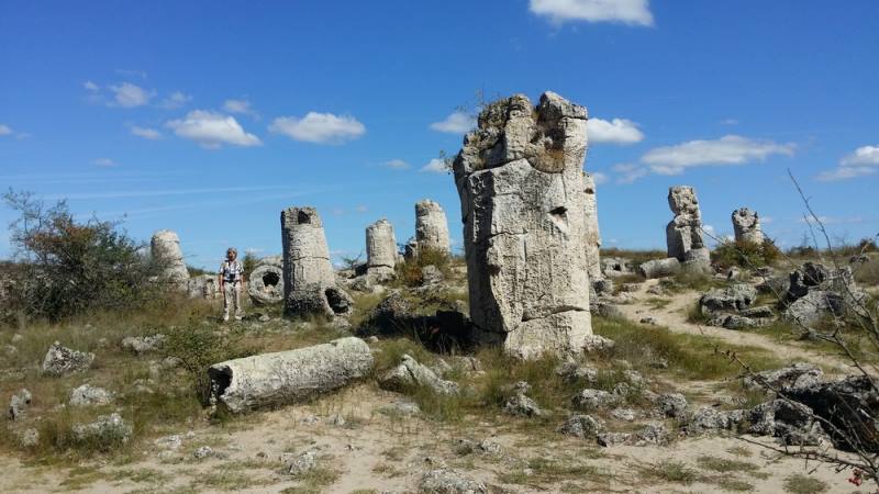 Болгария, каменный лес