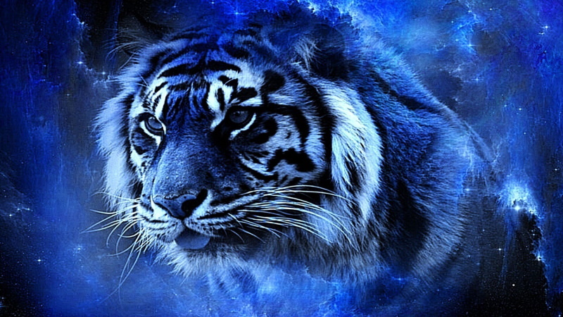 2022 год - Голубого Водяного Тигра