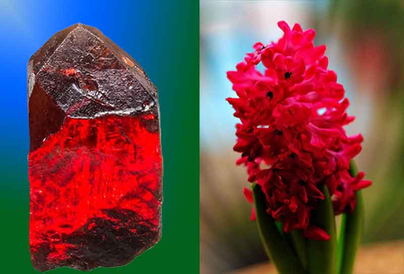 Гиацинт минерал и цветок