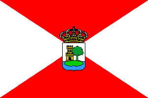 Флаг Виго