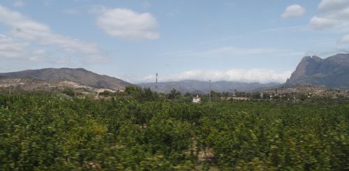 растительность Испании
