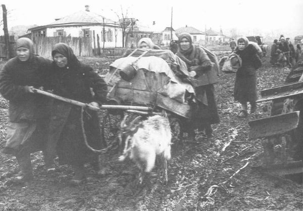 Русские беженцы, 1941 г.