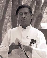 Сесар Эстрада Чавес
